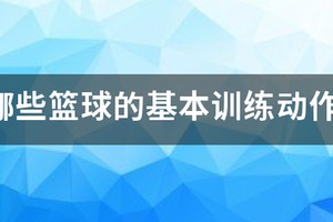 个人篮球训练基础动作有哪些